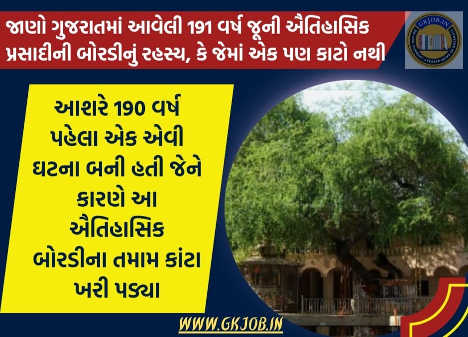  ગુજરાતમાં આવેલી 191 વર્ષ જૂની ઐતિહાસિક પ્રસાદીની બોરડીનું રહસ્ય, કે જેમાં એક પણ કાટો નથી