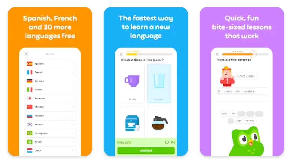 Duolingo app features 